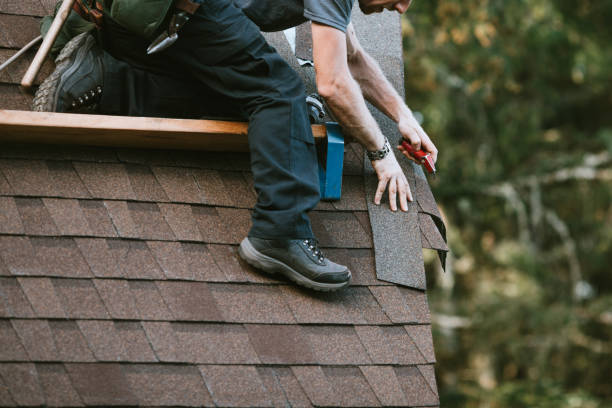 Best Roof Gutter Cleaning  in Montrose, CO